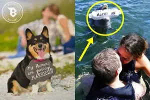 12 Cara melamar pasangan pakai hewan ini so sweet dan romantis abis