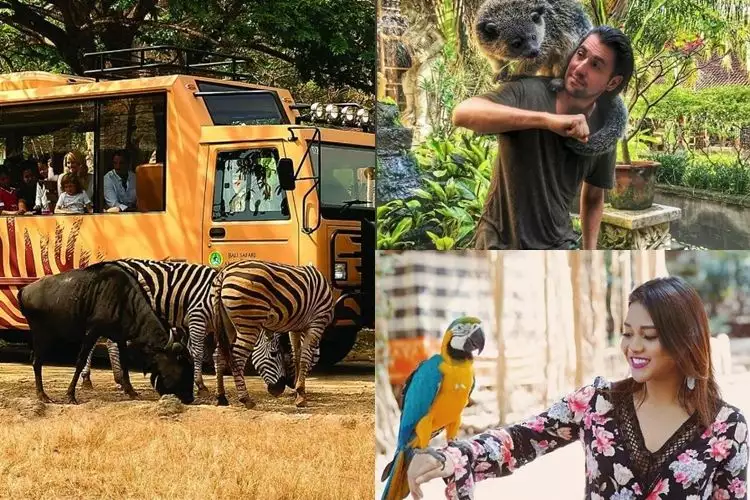 Ini 7 kebun binatang terbaik di Indonesia, kamu pernah piknik ke sana?