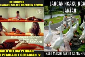 22 Meme kocak 'jangan ngaku' ini bikin kamu ketawa geli gimana gitu