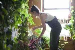 Cinta lingkungan hijau, wanita ini bikin kebun di apartemennya