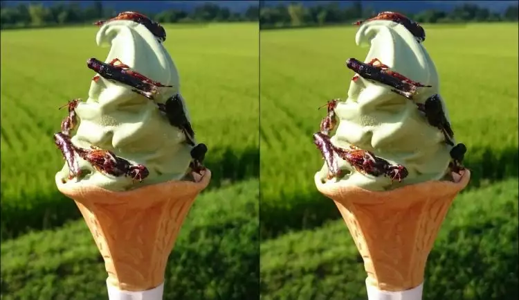 Es krim di Jepang ini pakai toping belalang, mau coba?