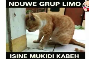 11 Meme kocak diteror Mukidi ini bikin geli sendiri, lagi rame banget 