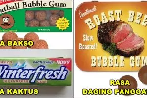 20 Permen karet paling absurd, ada yang rasa bulu kucing!