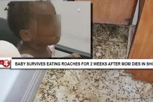 Terjebak 2 minggu dalam rumah, balita ini terpaksa memakan kecoak