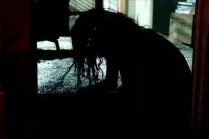 10 Foto di balik layar film horor Lights Out, rugi jika nggak nonton!