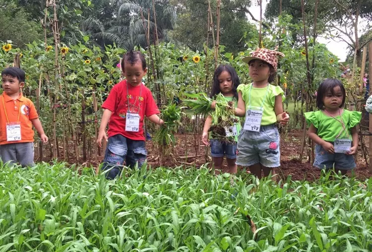 Rumah Perubahan ajak anak bertualang sambil belajar menjaga lingkungan