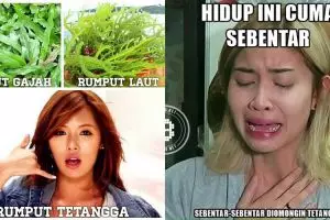14 Meme seputar kehidupan tetangga ini kocak abis, kamu pernah?