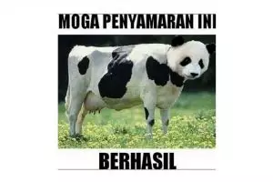 12 Meme lucu perasaan hewan sebelum dikurbankan, ngocol banget ya