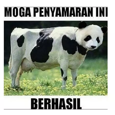 12 Meme lucu perasaan hewan sebelum dikurbankan, ngocol banget ya