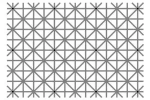 Bisakah kamu melihat 12 titik hitam di gambar ini secara bersamaan?