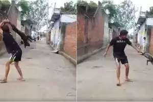 Aksi pria ini tak terpuji, perlakukan anjing dengan cara biadab