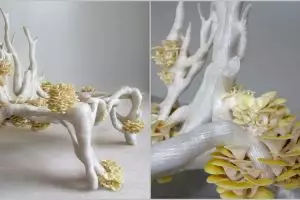 Kursi antik ini terbuat dari jamur lho, kok bisa ya?