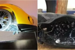 10 Foto ini bukti kalau laba-laba bisa bersembunyi di mana saja, ngeri