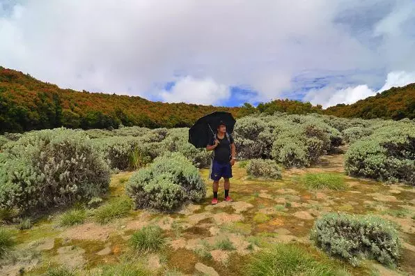 Di balik bencana, Garut menyimpan 25 spot wisata menakjubkan