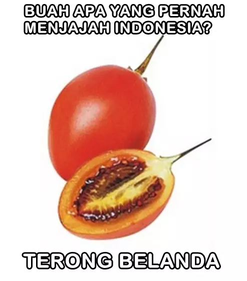 Meme tebak-tebakan receh bikin senyum-senyum © Istimewa Meme tebak-tebakan receh bikin senyum-senyum © Istimewa