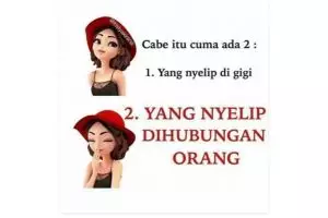 16 Meme 'hanya ada dua tipe' ini dijamin bikin senyum-senyum sendiri
