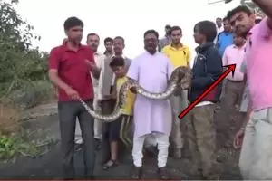 Ajak ular piton selfie, pria ini dapat serangan ngeri banget