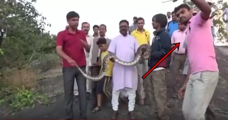 Ajak ular piton selfie, pria ini dapat serangan ngeri banget