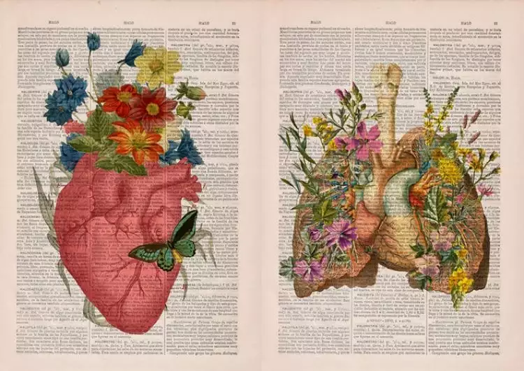 10 Ilustrasi anatomi tubuh pada kamus tak terpakai ini keren parah