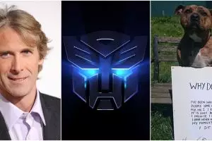 Freya, ditolak 18 ribu kali adopsi, kini bintangi Transformer 5