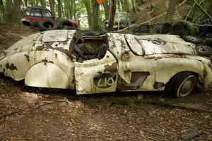 Pria ini taruh 50 mobilnya di hutan, total harganya capai Rp 13 miliar