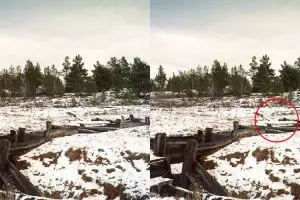 Percaya atau nggak, ada sniper di 10 gambar ini