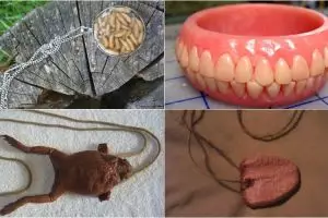 Tak hanya aneh, 18 benda yang dijual online ini ngeri abis