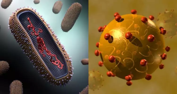 12 Foto virus ini dijamin bikin hatimu berdebar-debar