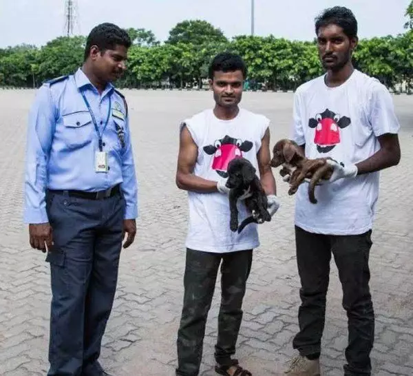 Dua anjing ini selamat meski terkurung di kontainer hampir sebulan