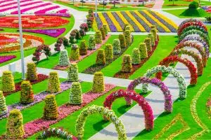 15 Foto indahnya taman bunga di Dubai, dijuluki taman keajaiban