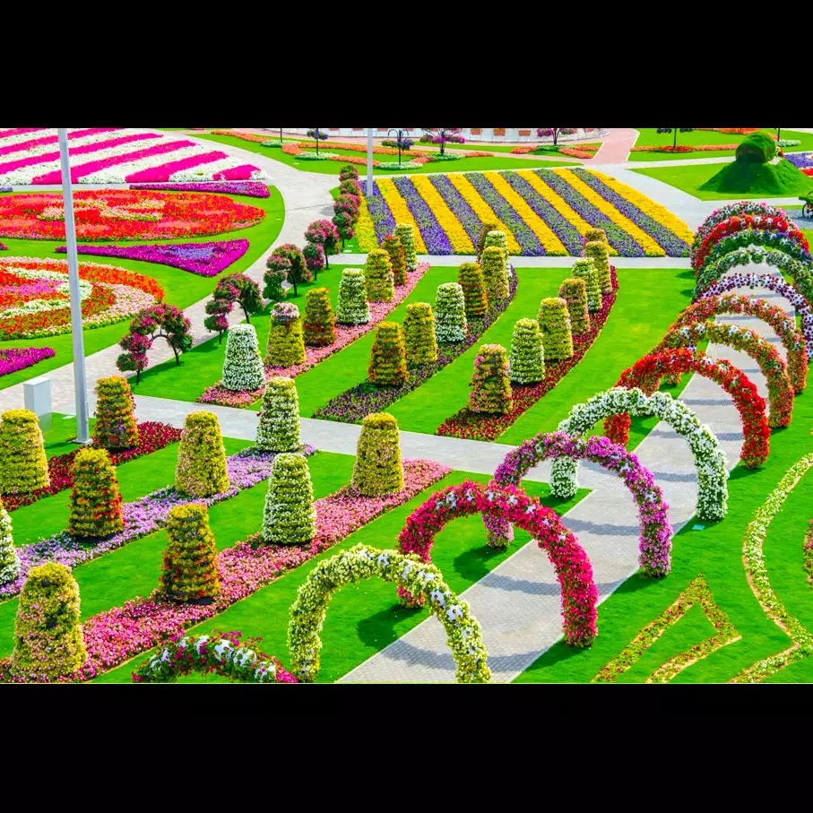 15 Foto indahnya taman bunga di Dubai, dijuluki taman keajaiban