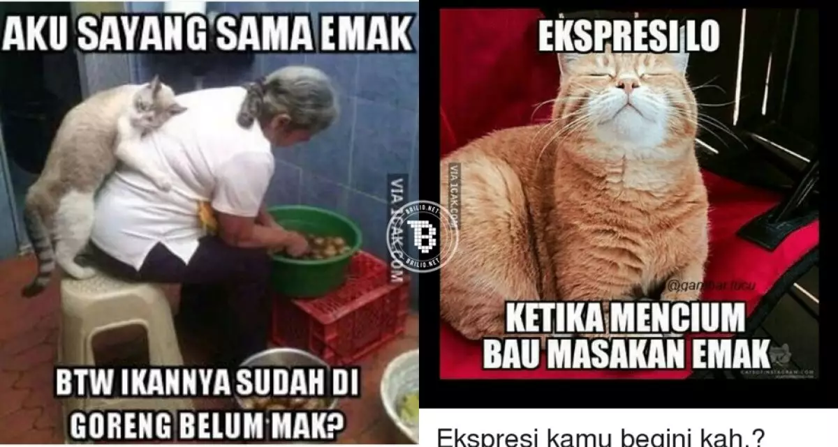 13 Meme kocak 'masakan emak' ini bikin ngakak sekaligus kangen ibu