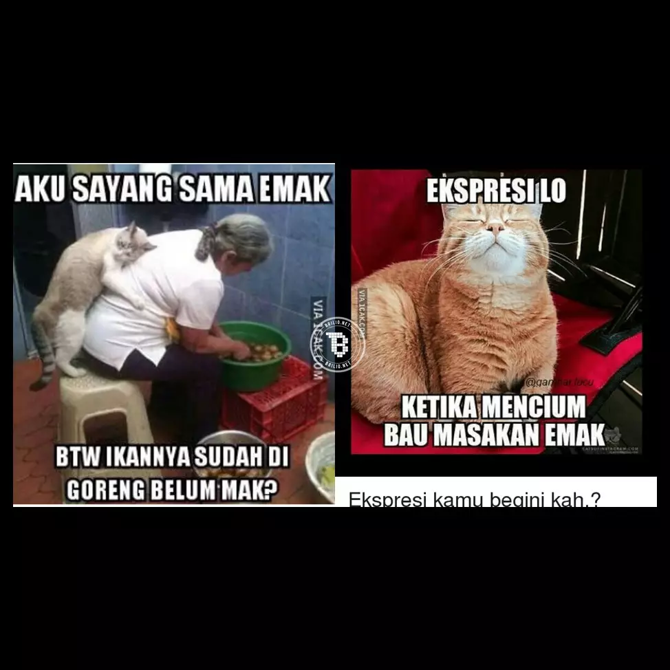 13 Meme kocak 'masakan emak' ini bikin ngakak sekaligus kangen ibu