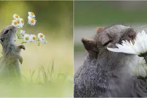 14 Potret hewan mencium bunga ini ngegemesin banget