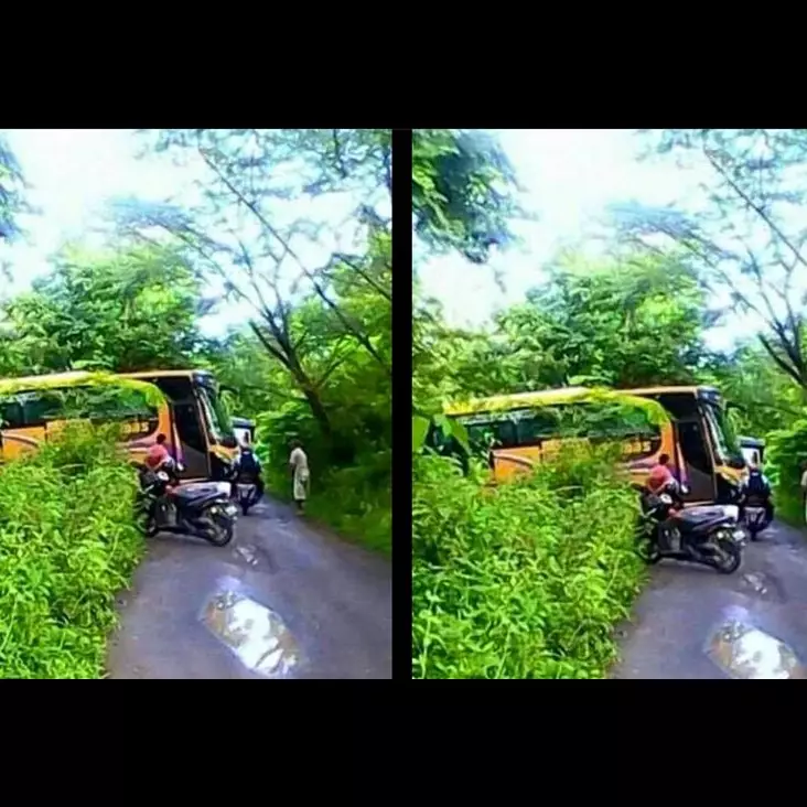 Bus ini tiba-tiba 'nyasar' di hutan Blora secara misterius, ada apa ya