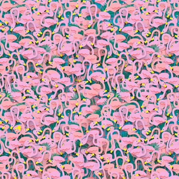 Kamu bisa melihat penari balet di antara flamingo ini?