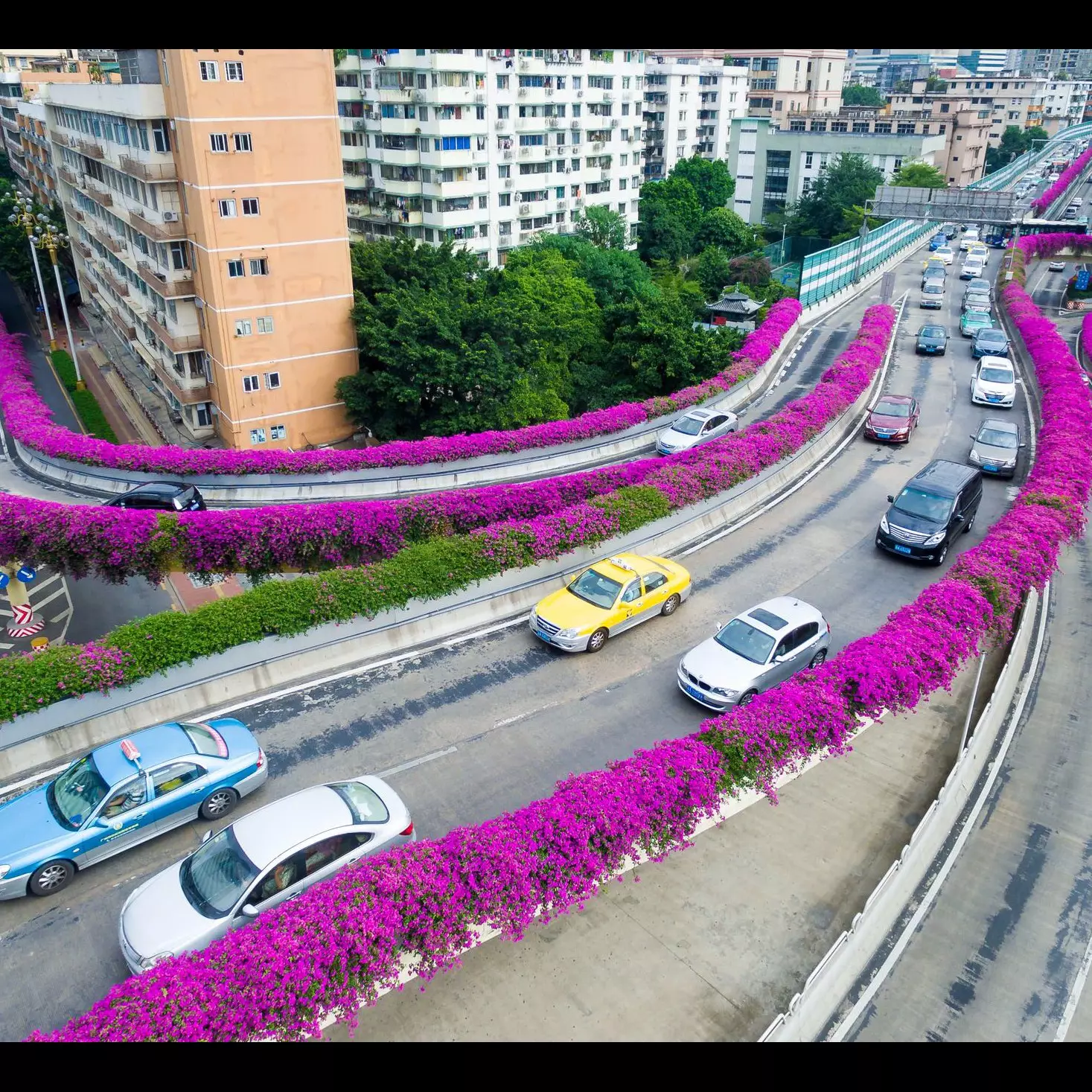 9 Foto cantiknya jalanan China, ditumbuhi bunga serasa di taman kota