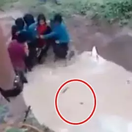 Di sekolah ini siswi dipaksa sekolam dengan ular, kok ngawur gitu ya