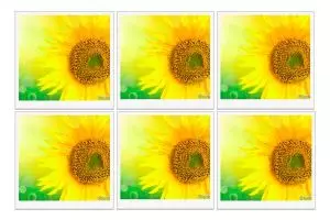 Bisakah kamu temukan perbedaan dari objek kembar di 8 gambar ini?