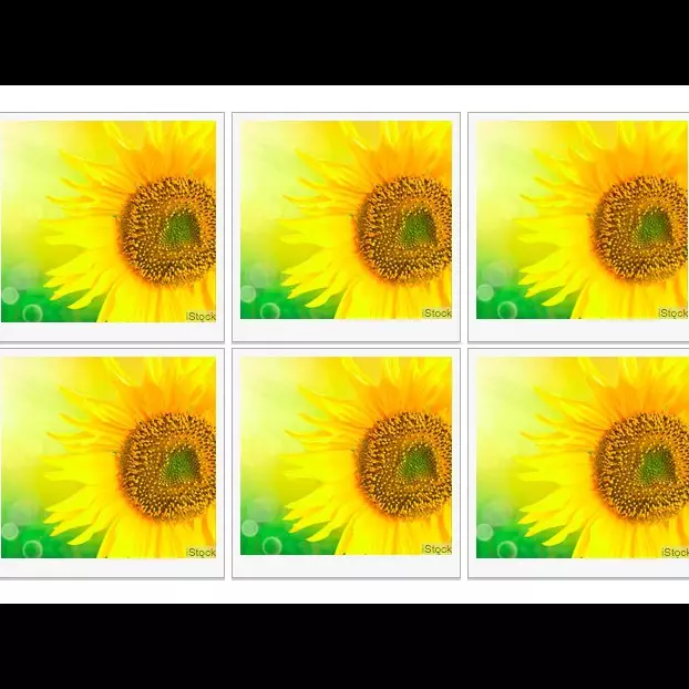 Bisakah kamu temukan perbedaan dari objek kembar di 8 gambar ini?