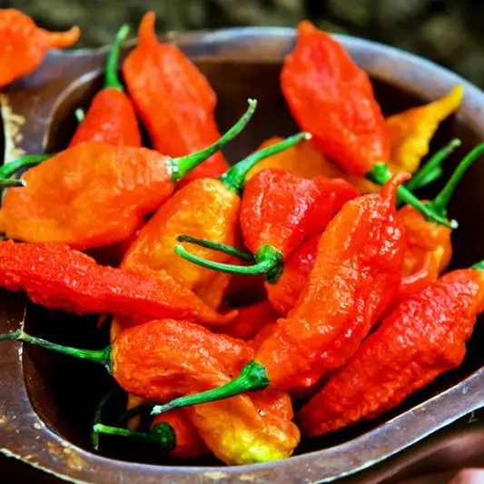 Pria ini nyaris tewas gara-gara kepedasan cabe