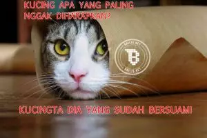 9 Meme tebak-tebakan kocak ini dijamin bikin jomblo nyesek