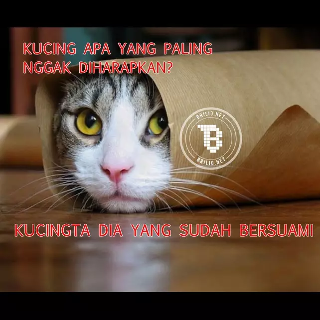 9 Meme tebak-tebakan kocak ini dijamin bikin jomblo nyesek
