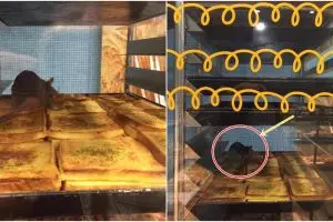 Hiii, ada tikus nangkring di roti sajian outlet ternama di Malaysia