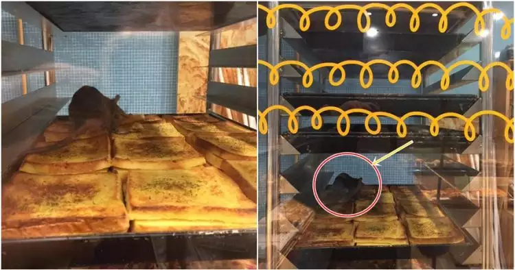 Hiii, ada tikus nangkring di roti sajian outlet ternama di Malaysia