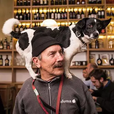 Anjing ini jadi model top, foto-fotonya sampai dibukukan lho