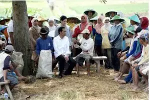 6 Potret keakraban Jokowi dengan petani, pemimpin idola rakyat