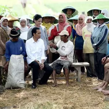 6 Potret keakraban Jokowi dengan petani, pemimpin idola rakyat