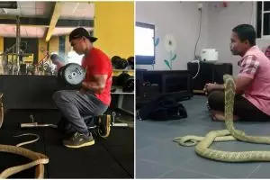 7 Foto persahabatan pria dengan ular kobra ini bikin merinding