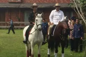 Temui Prabowo, Jokowi dijamu nasi goreng dan diajak berkuda